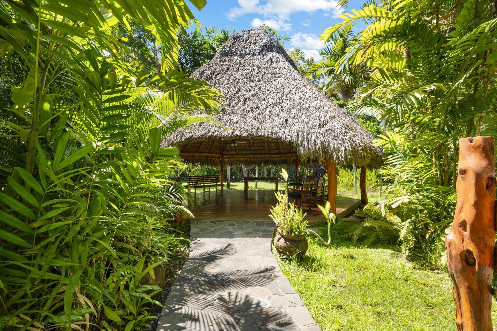 Tambor Tropical Beach Resort- Adults Only Ngoại thất bức ảnh